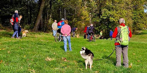 Social Walks